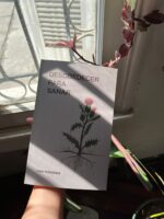 Terapia Feminista | Libro Físico Desobedecer para Sanar 3°edición - Imagen 2